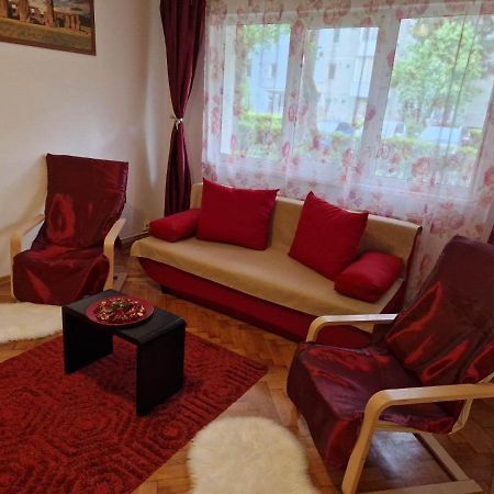 Petuniei Apartment บราชอฟ ภายนอก รูปภาพ