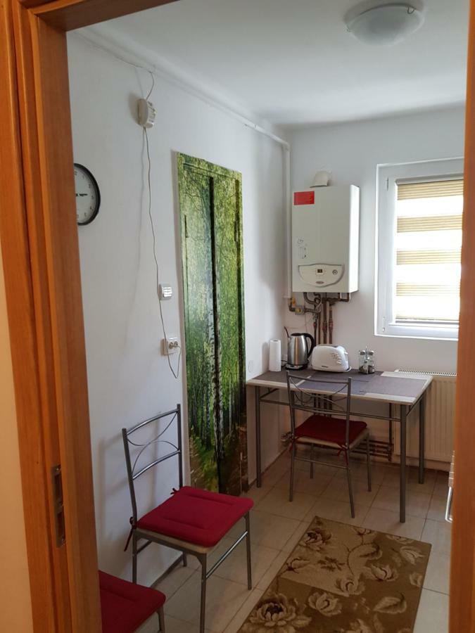 Petuniei Apartment บราชอฟ ภายนอก รูปภาพ