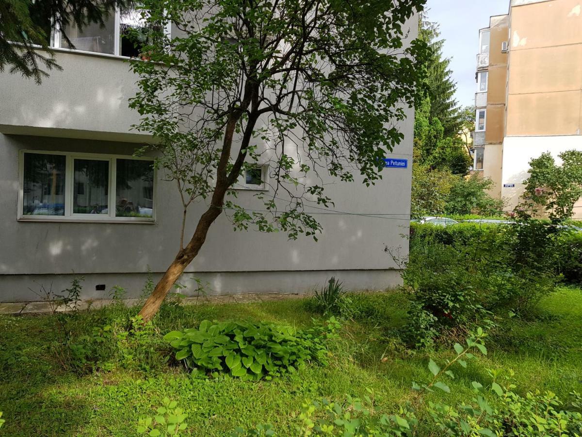 Petuniei Apartment บราชอฟ ภายนอก รูปภาพ