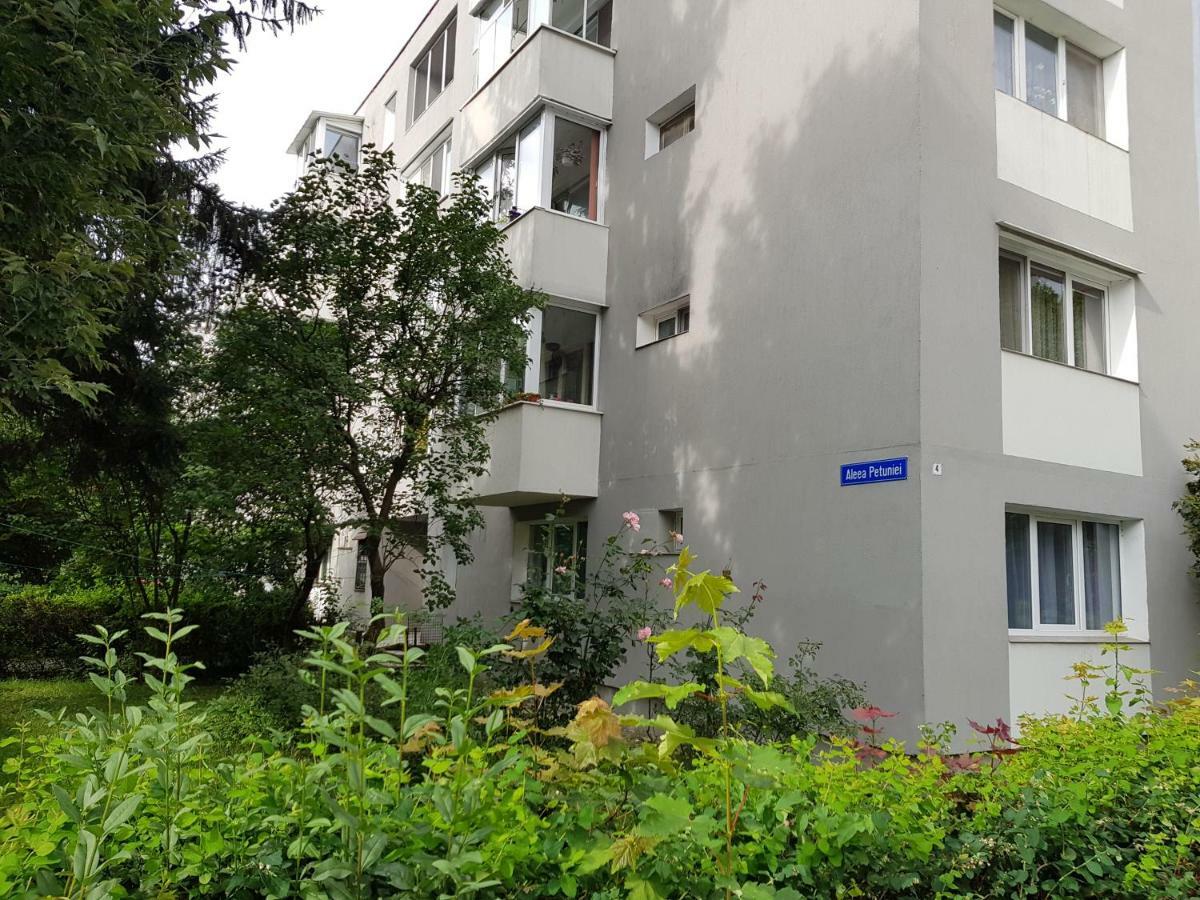 Petuniei Apartment บราชอฟ ภายนอก รูปภาพ